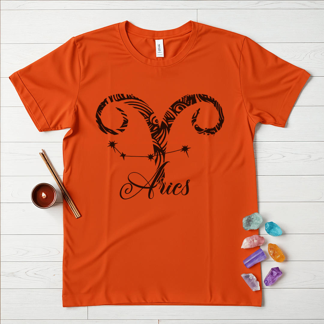 Aries Zodiac Softstyle T-Shirt