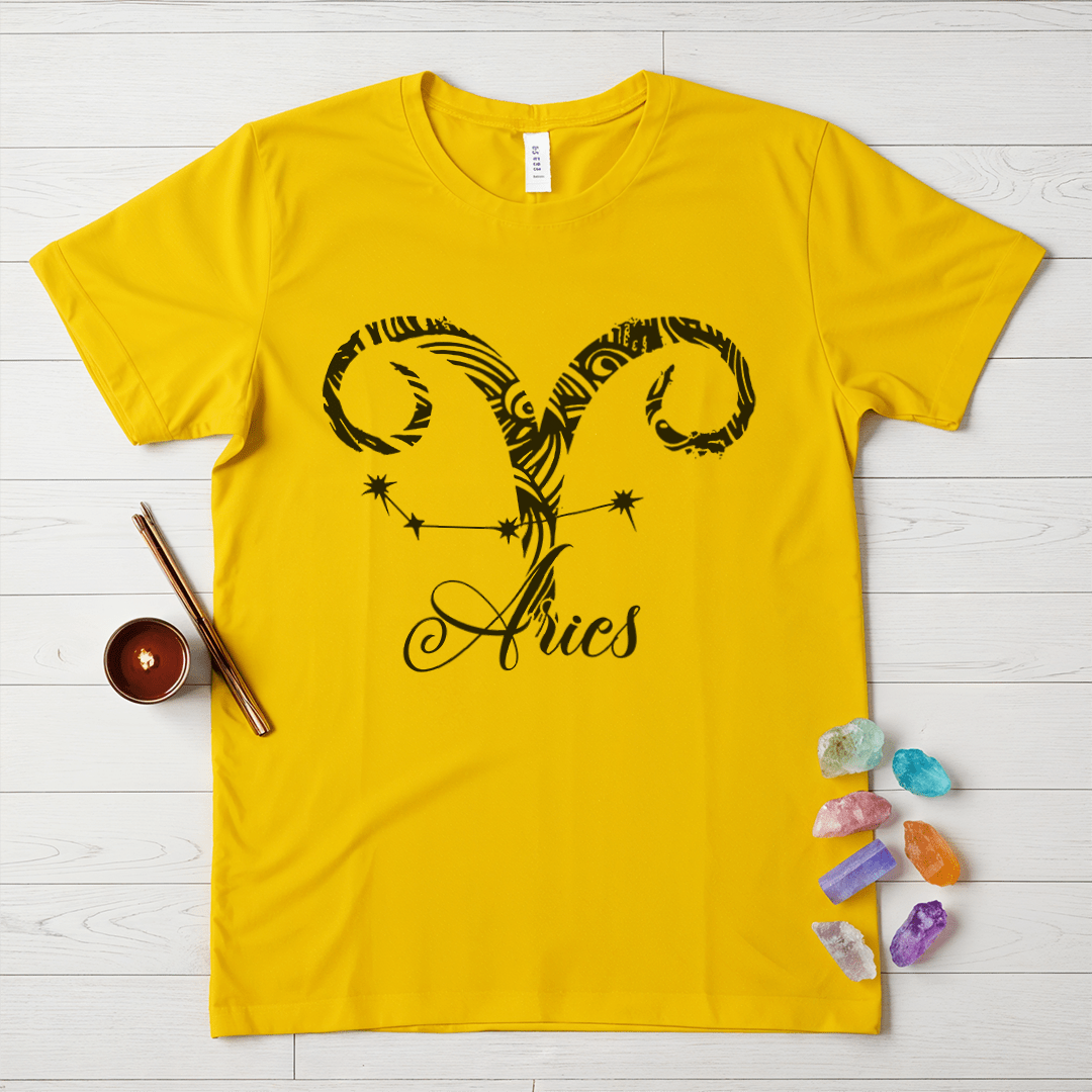 Aries Zodiac Softstyle T-Shirt