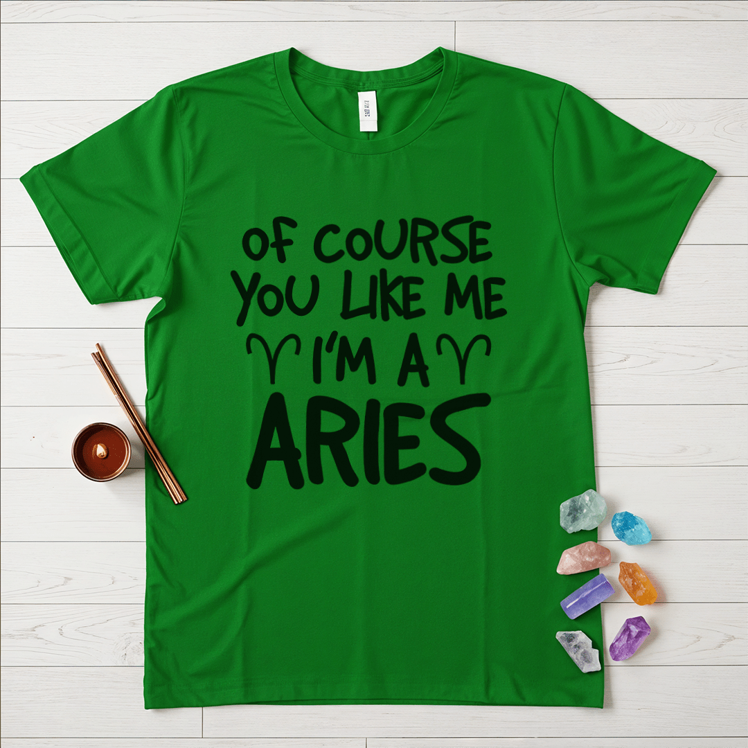 Proud Aries T-Shirt