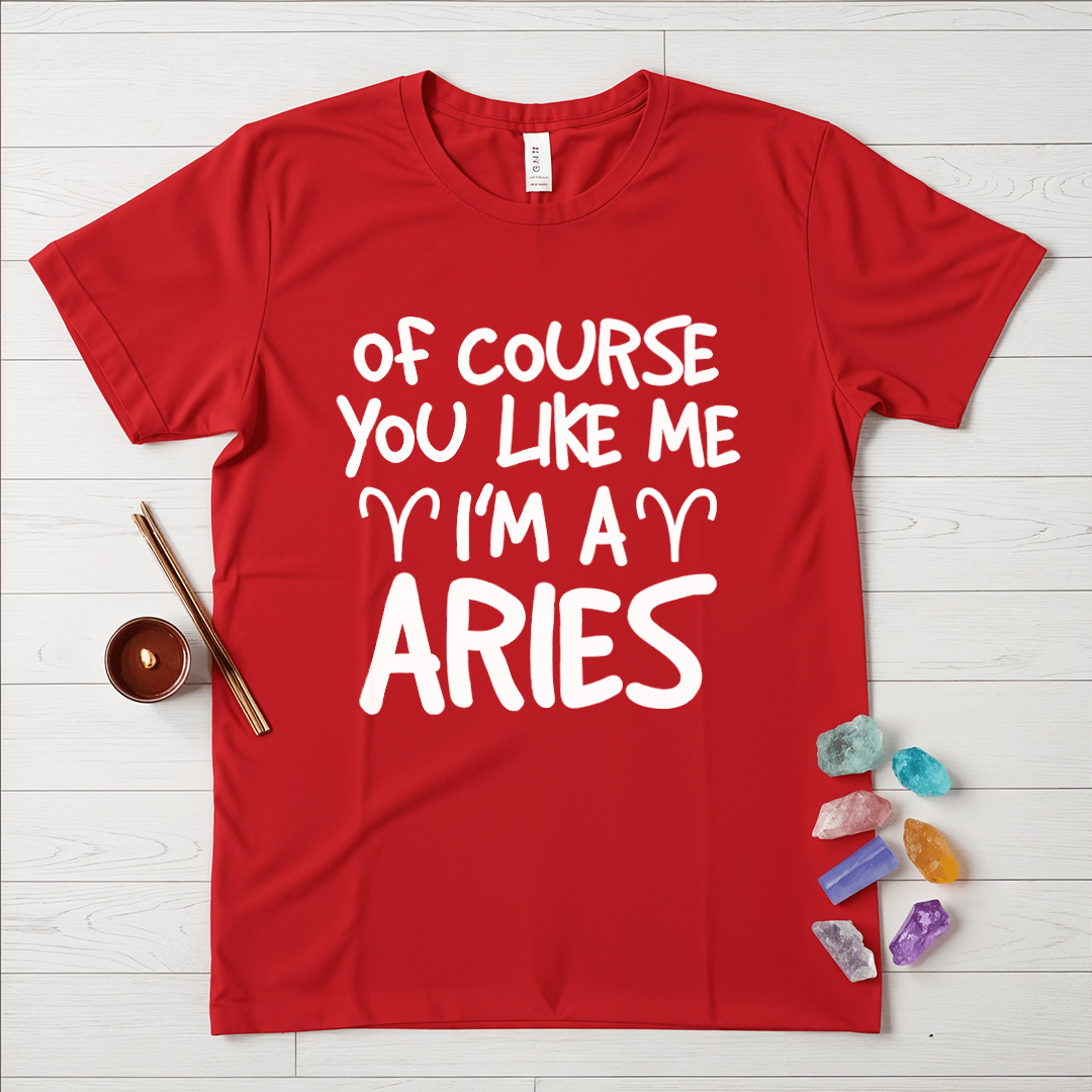 Proud Aries T-Shirt