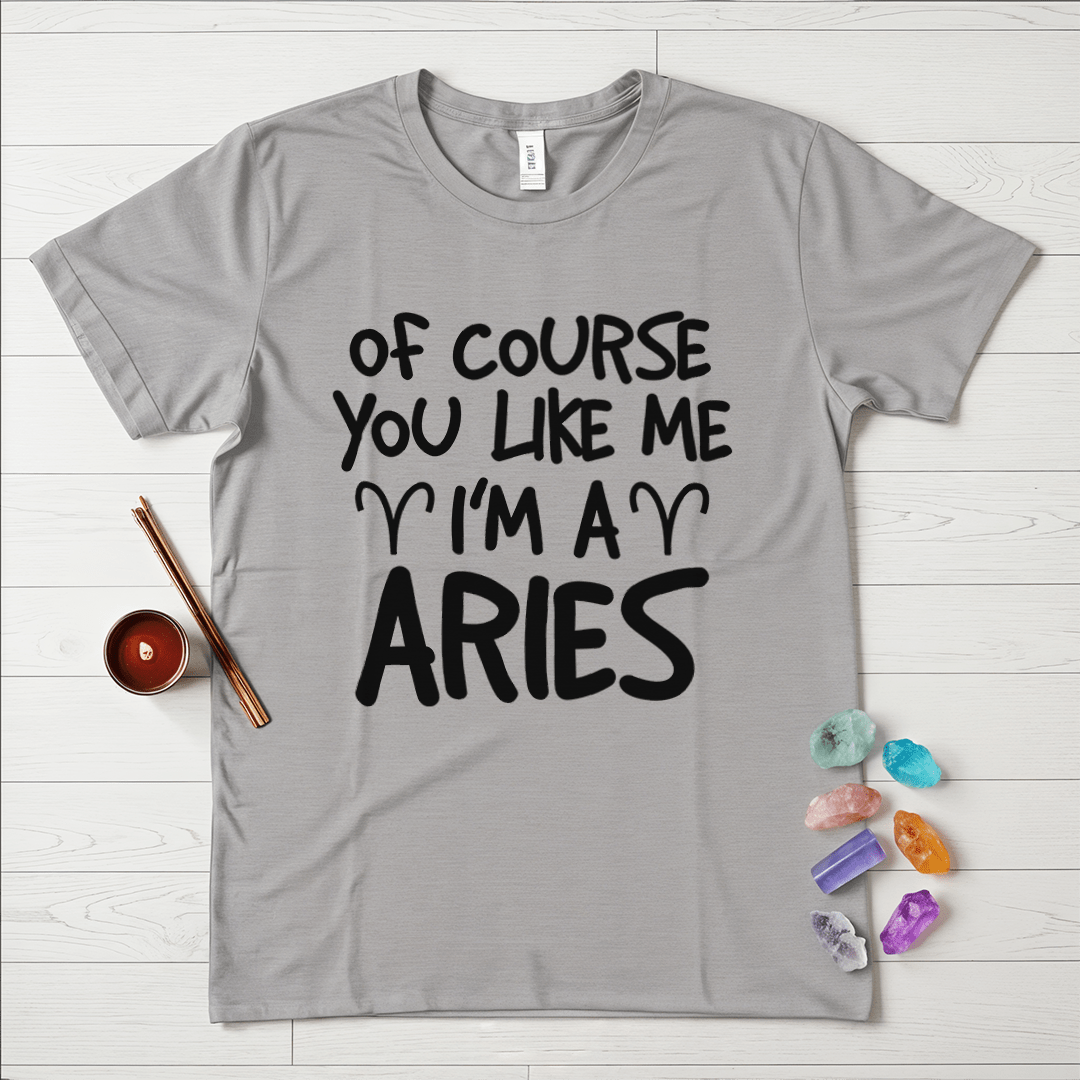 Proud Aries T-Shirt