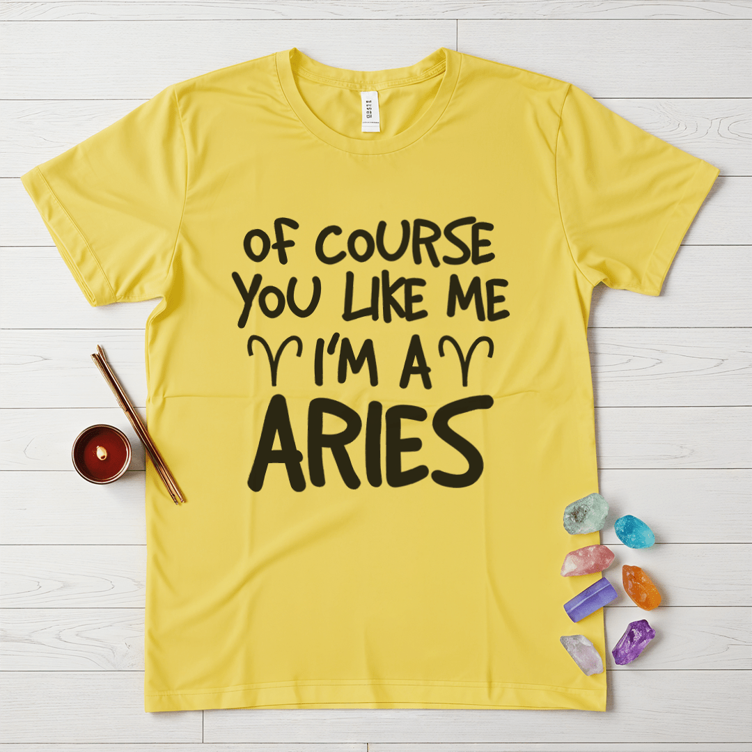 Proud Aries T-Shirt