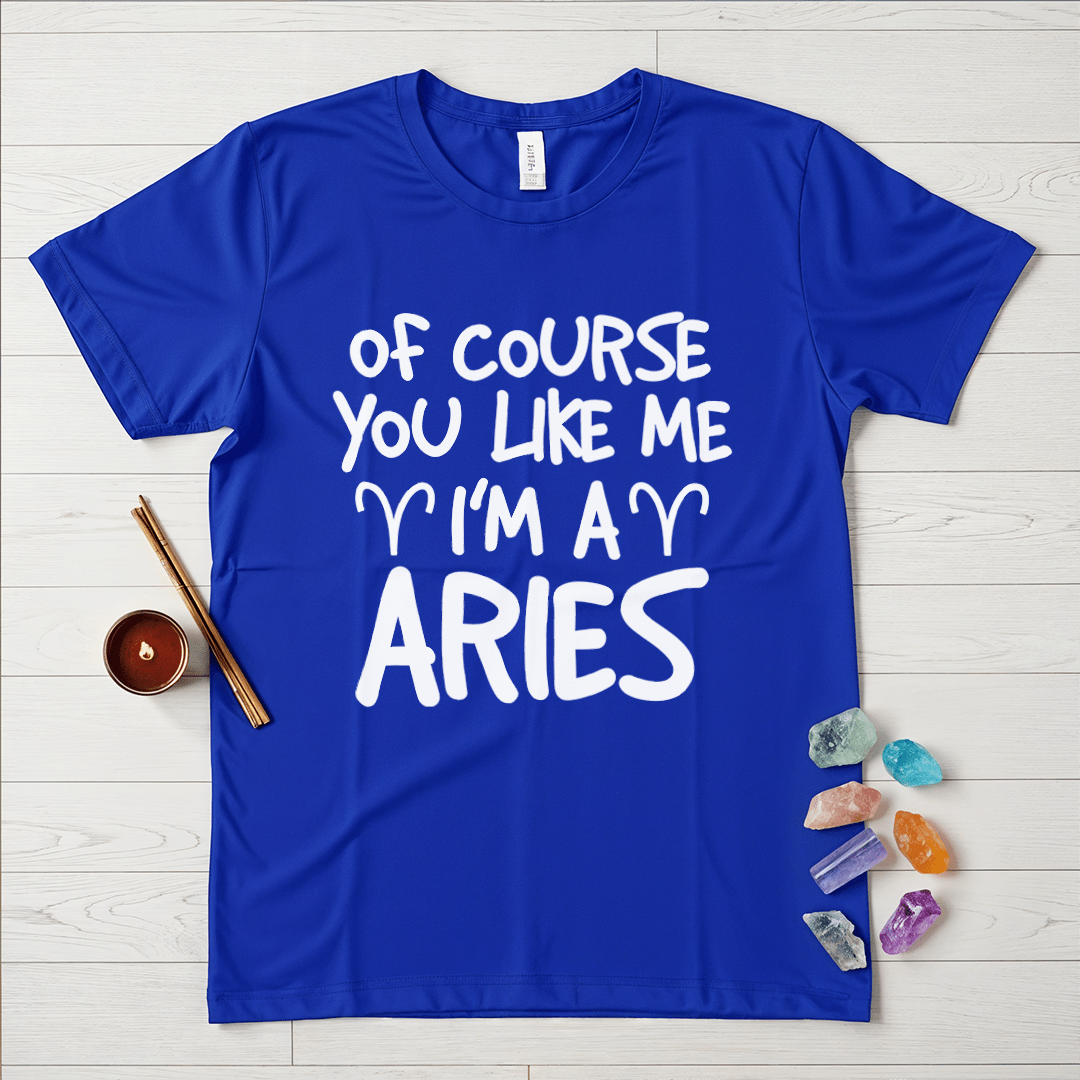 Proud Aries T-Shirt
