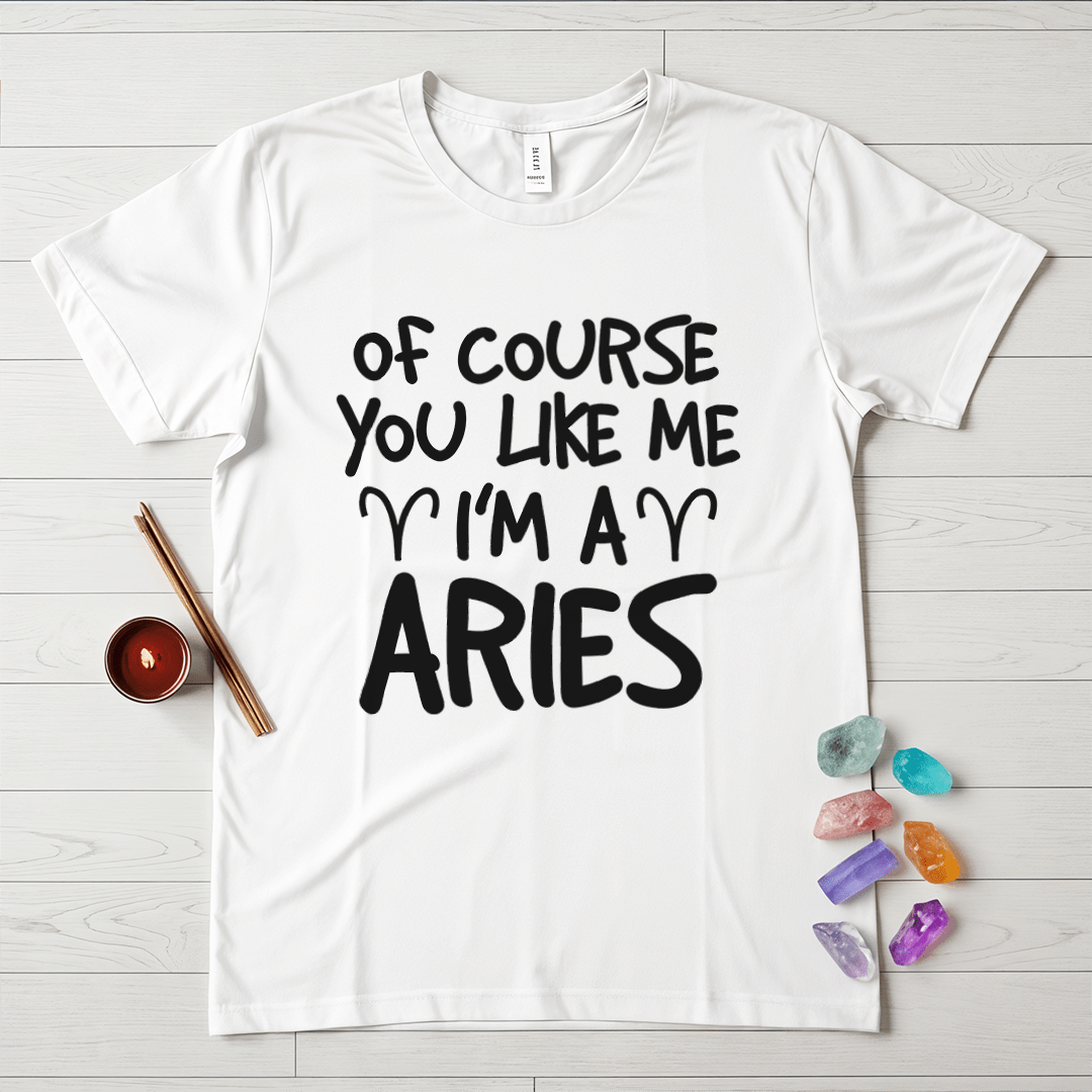 Proud Aries T-Shirt