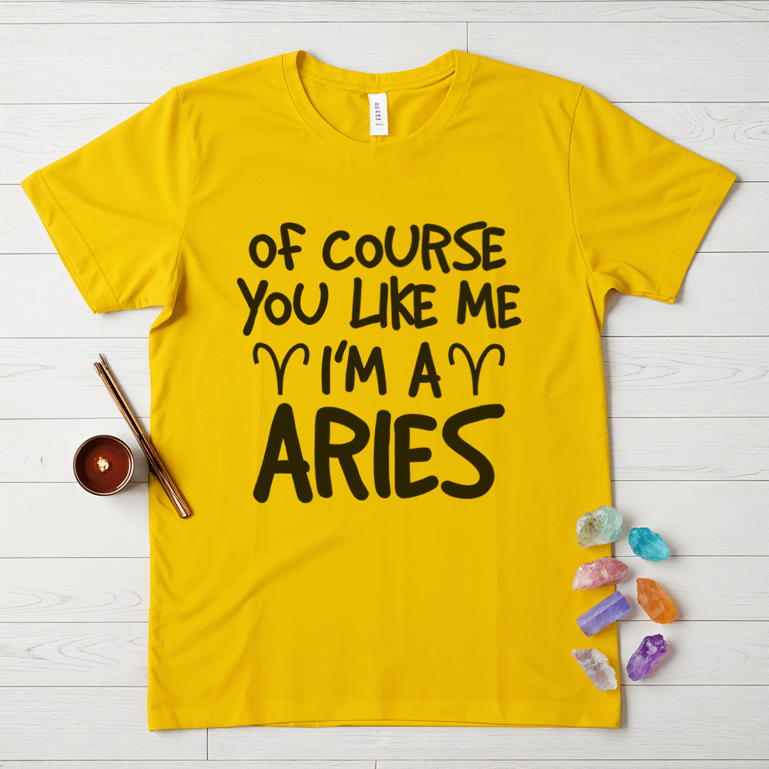 Proud Aries T-Shirt