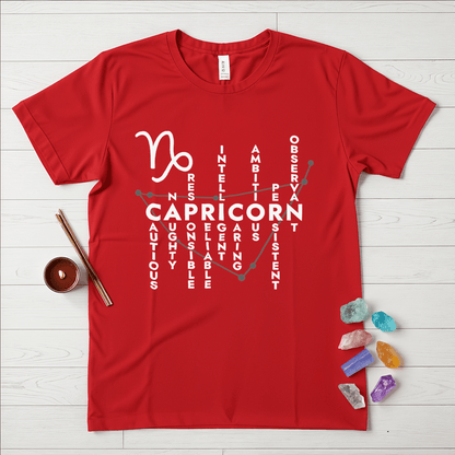 Capricorn Personality Traits T-Shirt