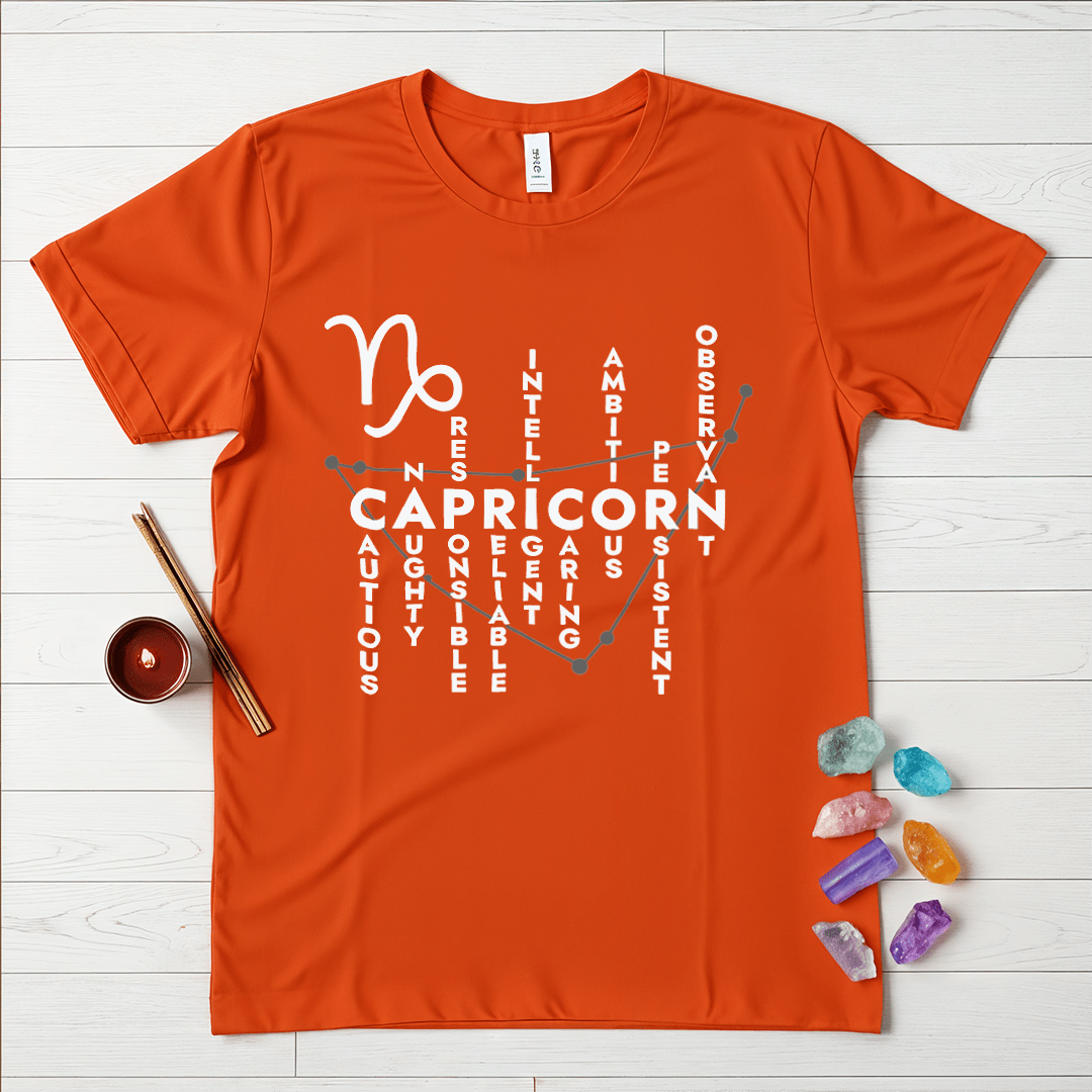 Capricorn Personality Traits T-Shirt