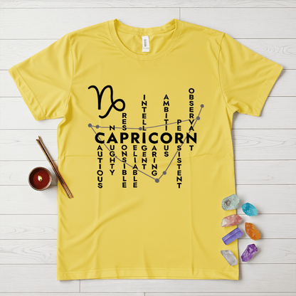 Capricorn Personality Traits T-Shirt