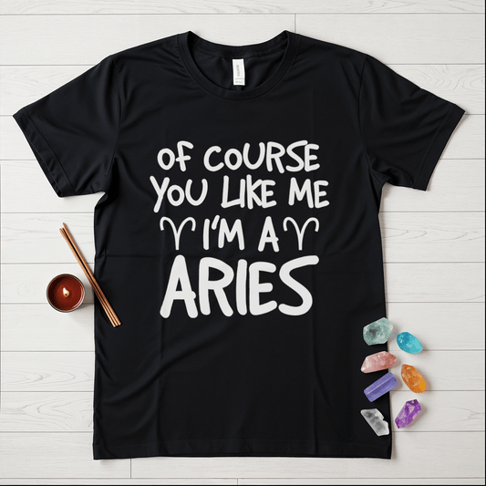 Proud Aries T-Shirt