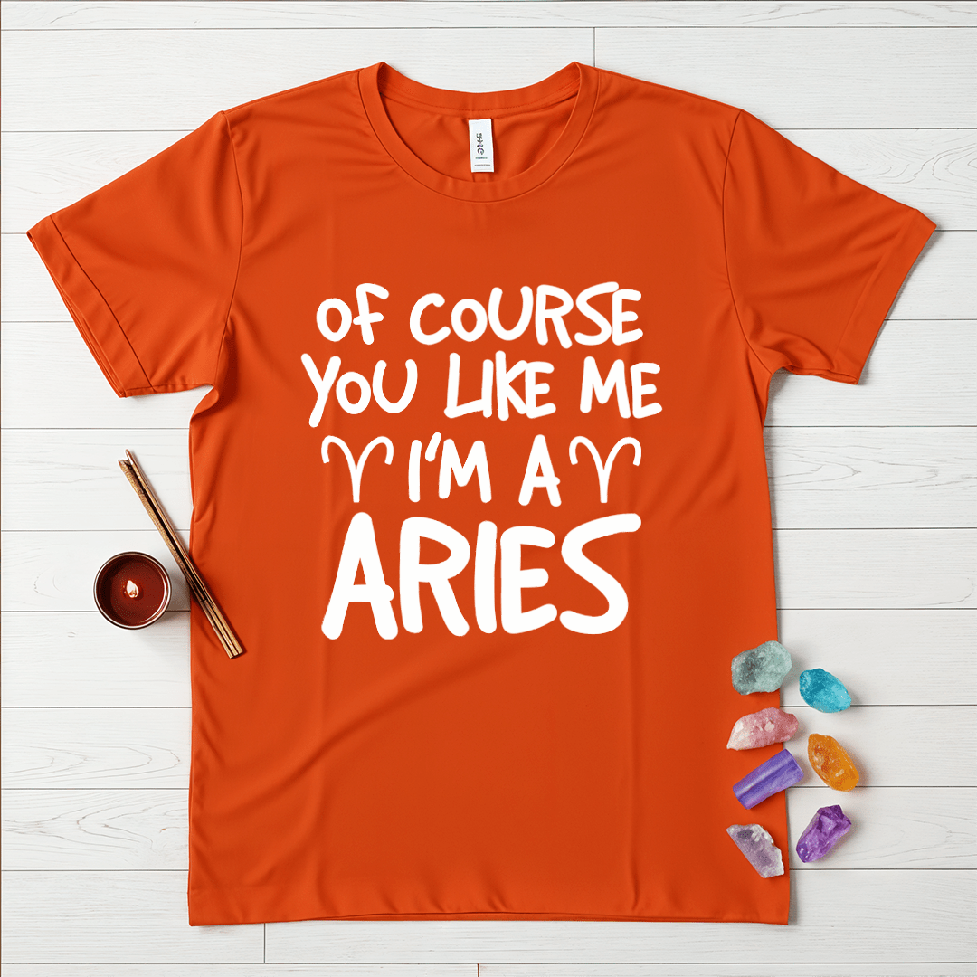 Proud Aries T-Shirt