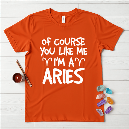 Proud Aries T-Shirt