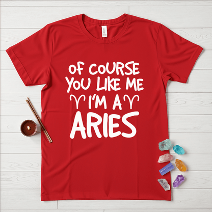 Proud Aries T-Shirt