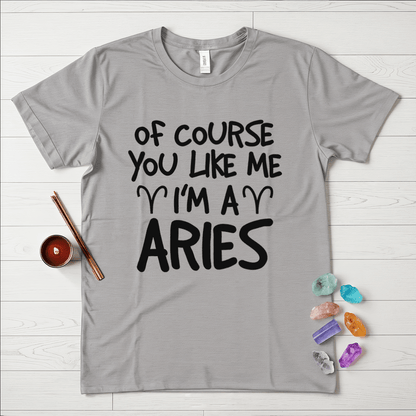 Proud Aries T-Shirt