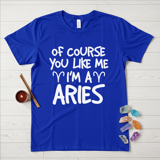 Proud Aries T-Shirt