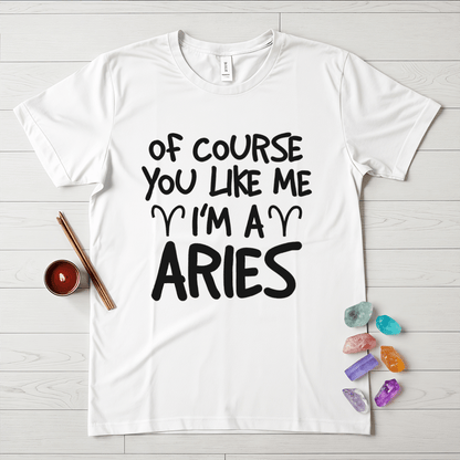 Proud Aries T-Shirt